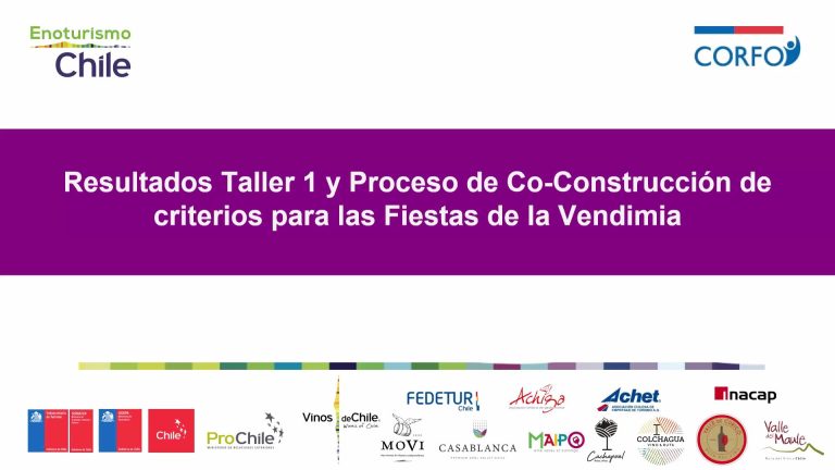 Lee más sobre el artículo 2° Taller de Co-Construcción de Buenas Prácticas para las Vendimias de Chile